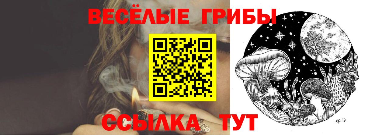 Галлюциногенные грибы прущие грибы Пугачёв