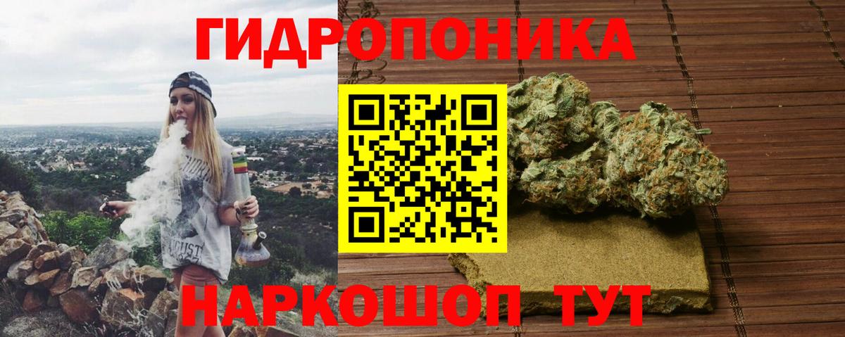 Конопля OG Kush Пугачёв